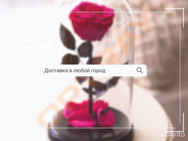 Неувядающая роза в колбе
