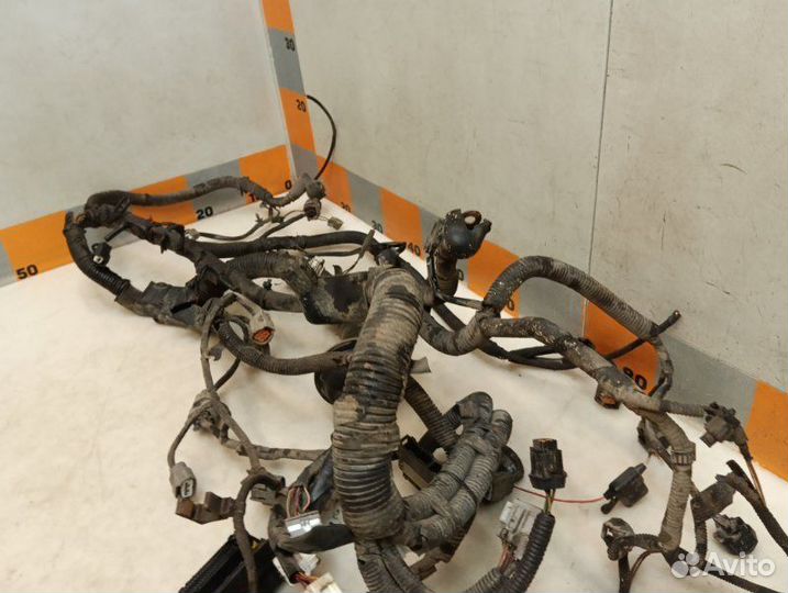 Проводка подкапотная Nissan Teana