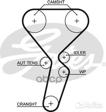 Комплект грм с помпой renault Clio Grandtour 1