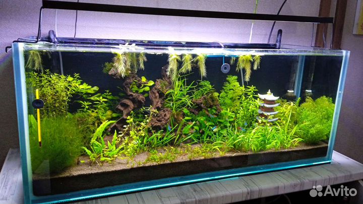 Аквариум