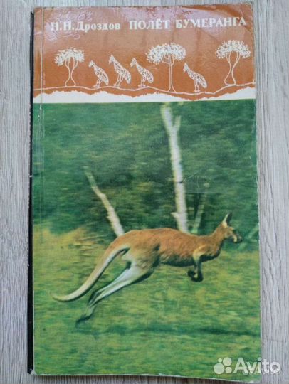 Н. Дроздов. Полет бумеранга