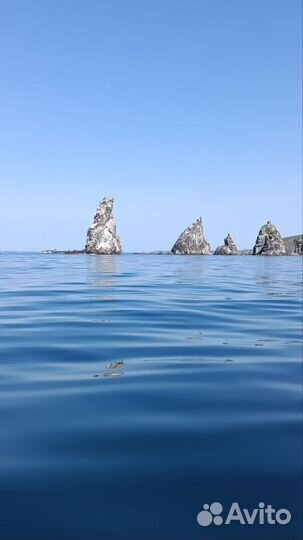 Морские прогулки на катере