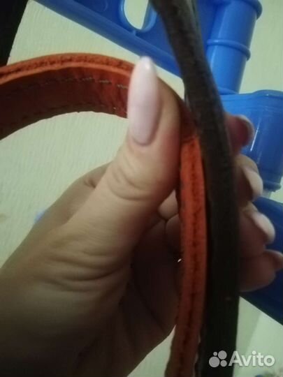 Недоуздок для лошади