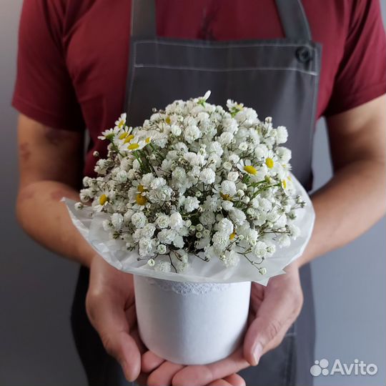 Букет цветов Гипсофила Доставка букетов