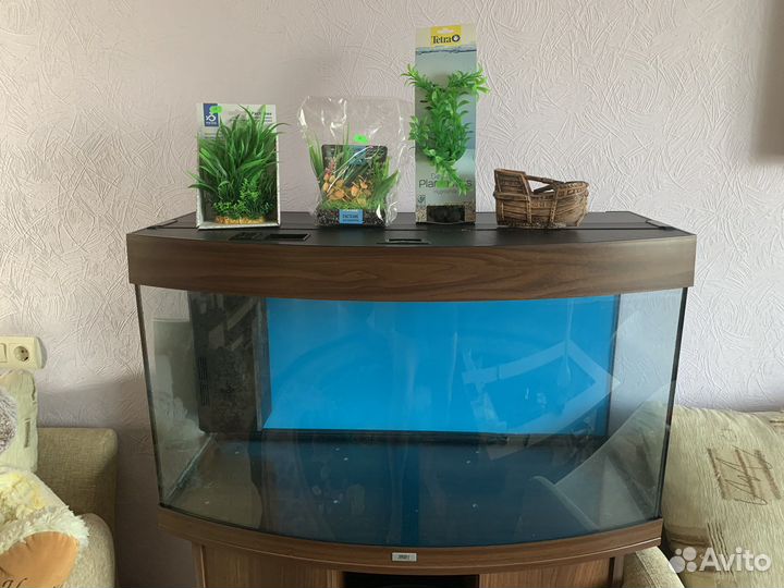 Аквариум с тумбой juwel панорамный 180