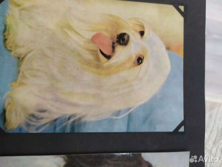 Коллекция открыток гдр 