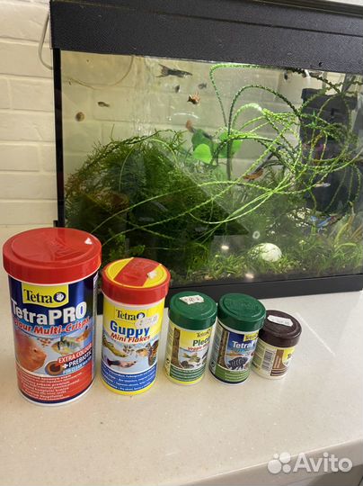Аквариум с рыбками