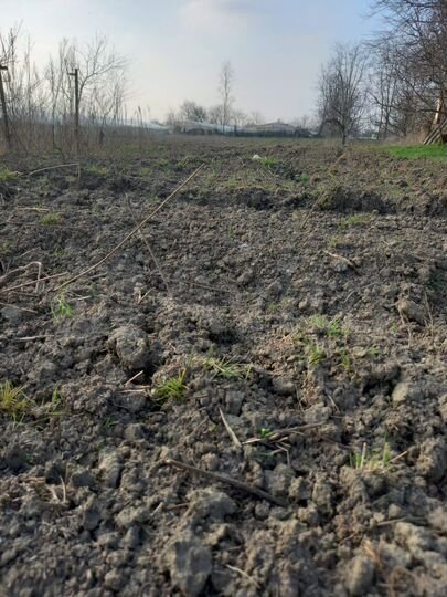 Участок 40 сот. (ИЖС)