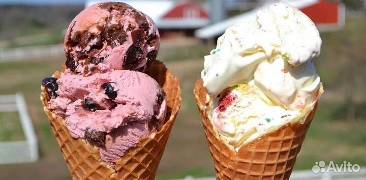 Вложись в франшизу – оригинальная идея