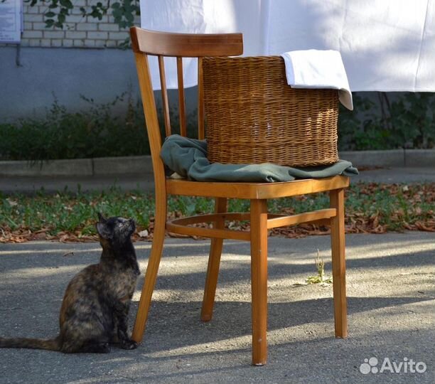 Плетеные корзинки