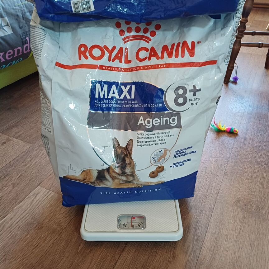 Сухой корм для собак royal canin maxi Ageing 8+