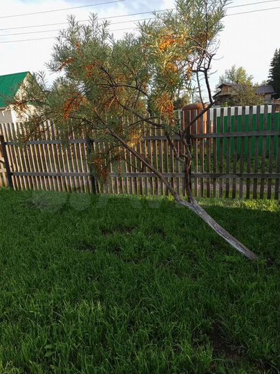 Участок 8 сот. (СНТ, ДНП)