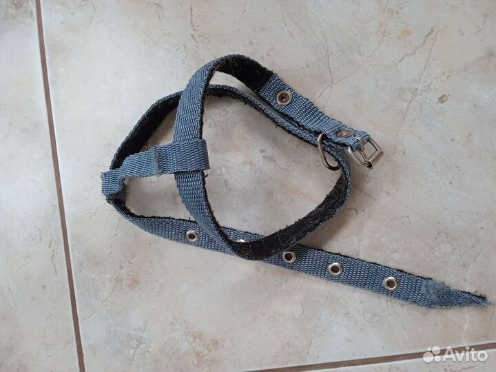 Шлейка и поводок