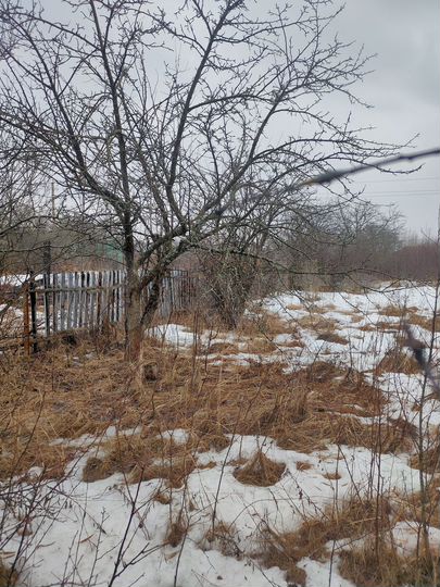 Участок 8 сот. (СНТ, ДНП)