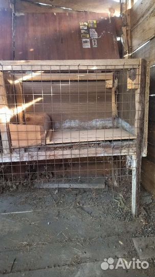 Клетка для домашнего кролика