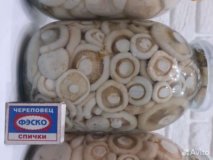 Грибы ягода соки клюква брусника облепиха черника