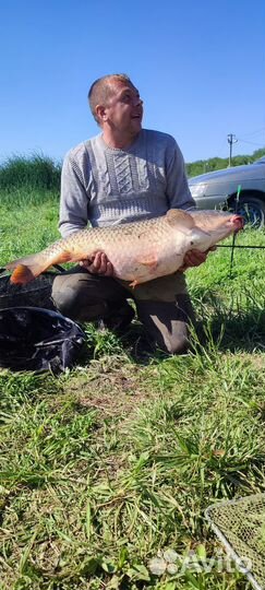 Рыбалка отдых беседки Базы отдыха