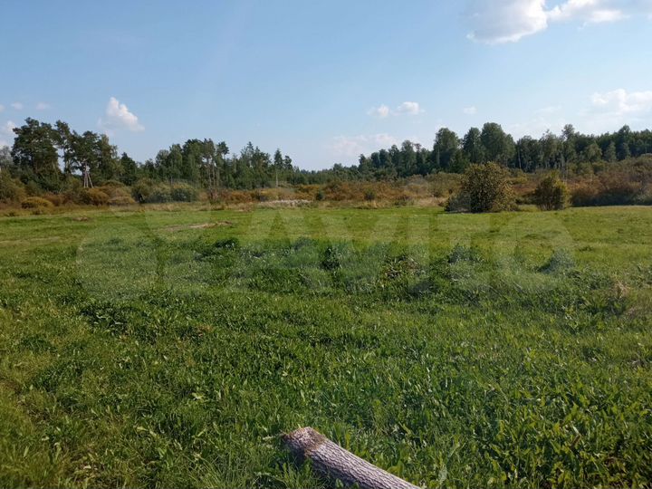 Участок 25 сот. (ИЖС)