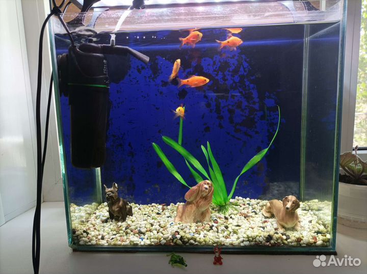 Чистка аквариума