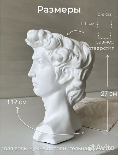 Голова Давида Кашпо