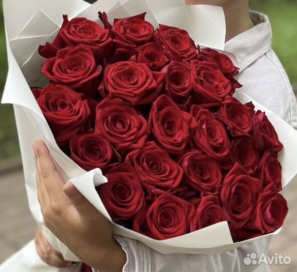 23 самые свежие розы Эквадор