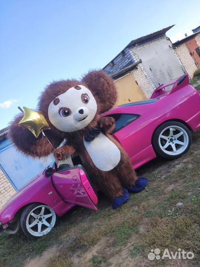 Белый мишка, чебурашка,зайка,поздравления