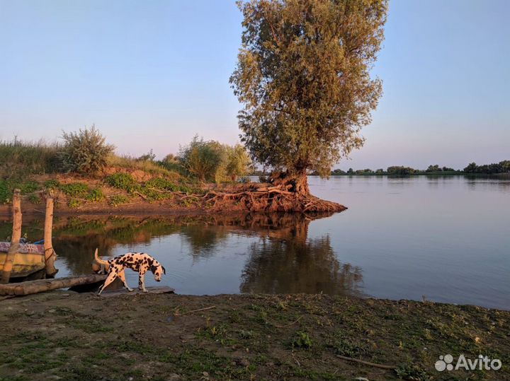 Рыбалка в Астраханской области с, маково
