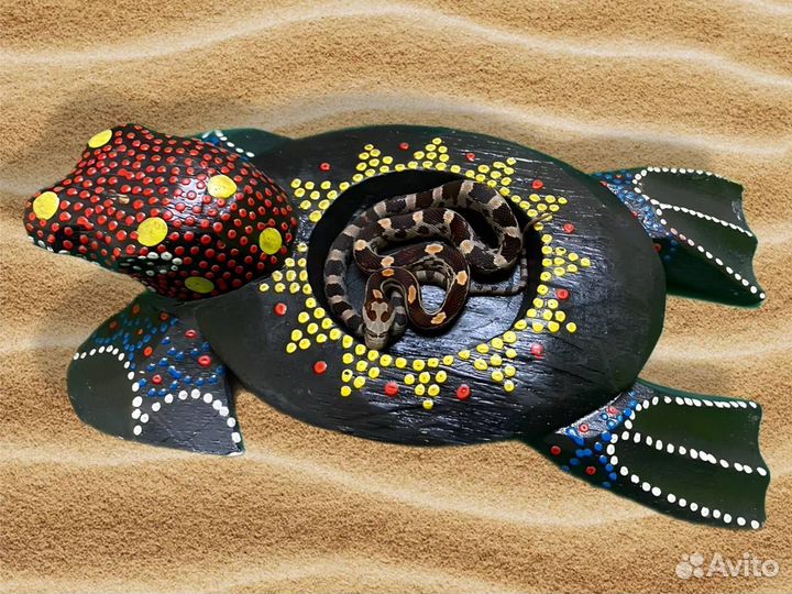 Малышня маисовых полозов