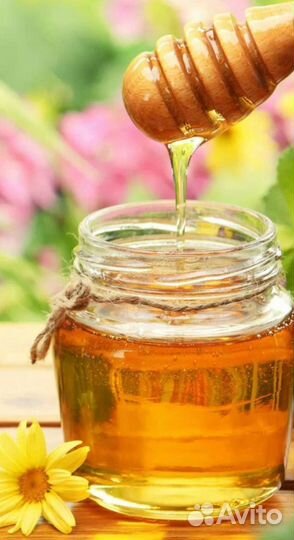 Мёд