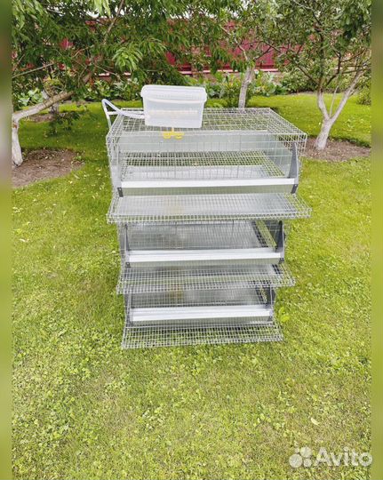 Клетка для 90 перепелов