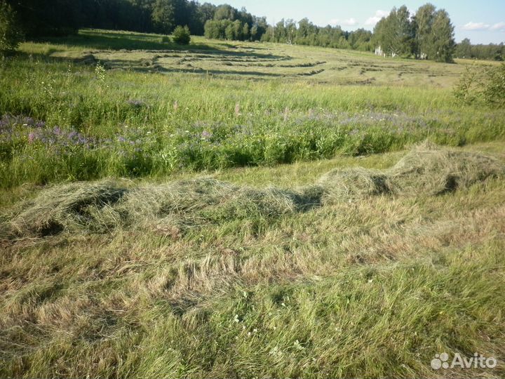 Сено в рулонах