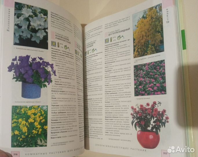 Комнатные растения энциклопедия
