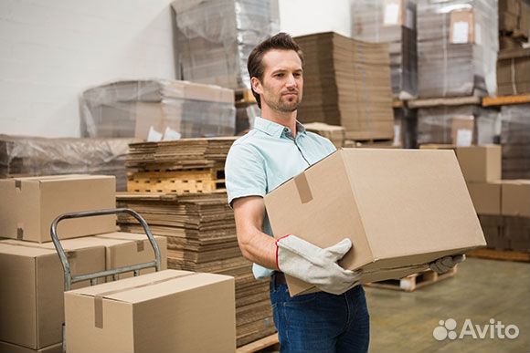 Грузчики (ежедневные выплаты)