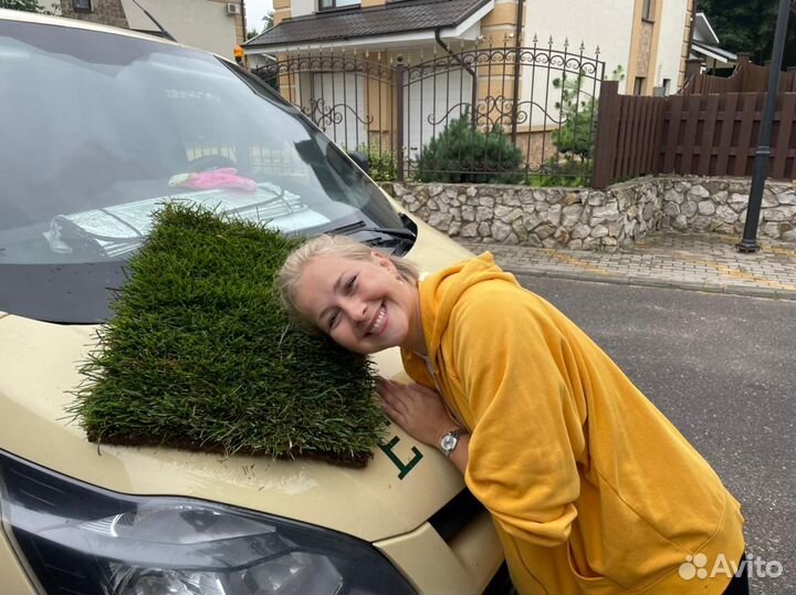 Газон рулонный «Элитный» с доставкой и укладкой