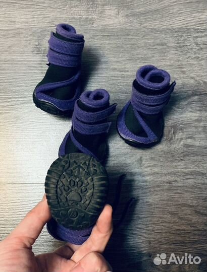 Обувь для собак