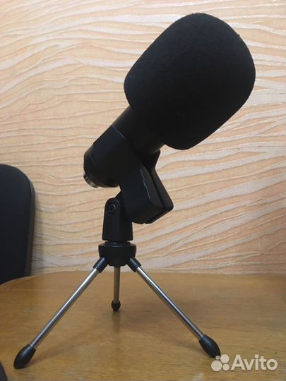Микрофон BM800