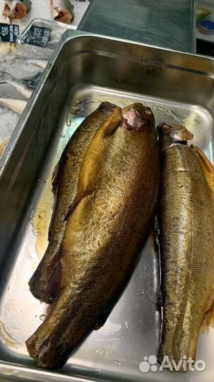 Форель горячего копчения