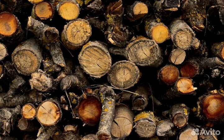Дрова кора