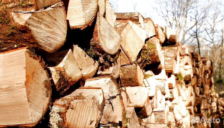 Дрова люксовые