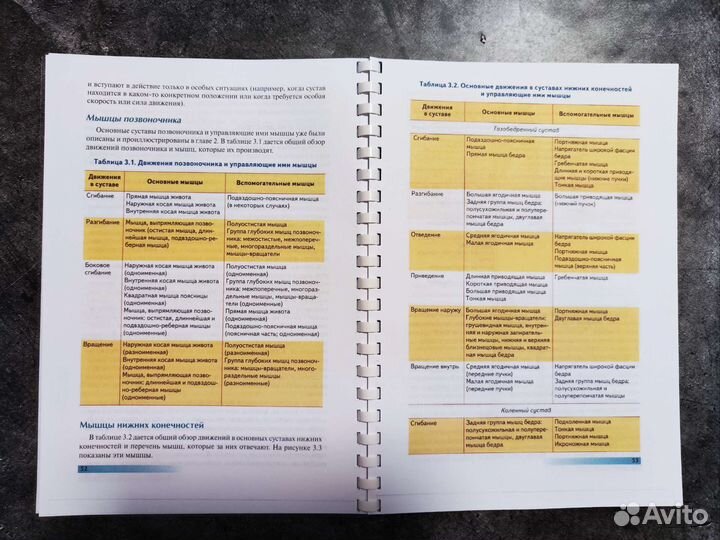 Книга Анатомия пилатеса, Раэль Исакович