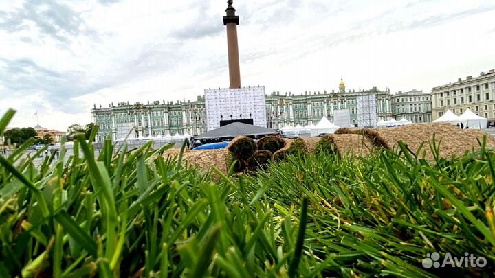 Рулонный газон от производителя