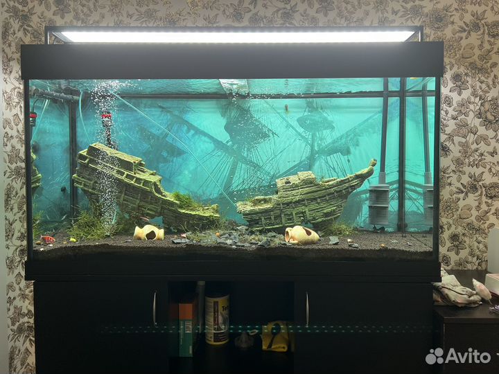 Аквариум