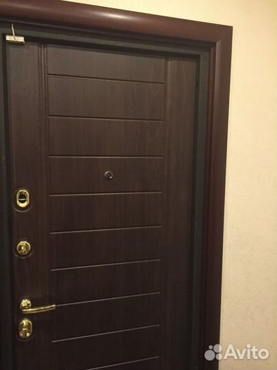 Входные двери с установкой