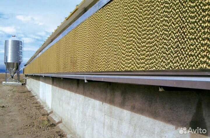 Пед кулинг (охлаждения для курятника)