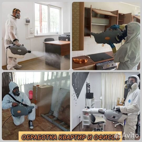 Дезинфекция, дезинсекция, тараканов, крыс, мышей