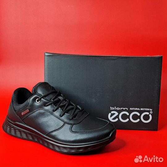 Ecco Biom