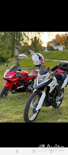 Racer Ranger RC300