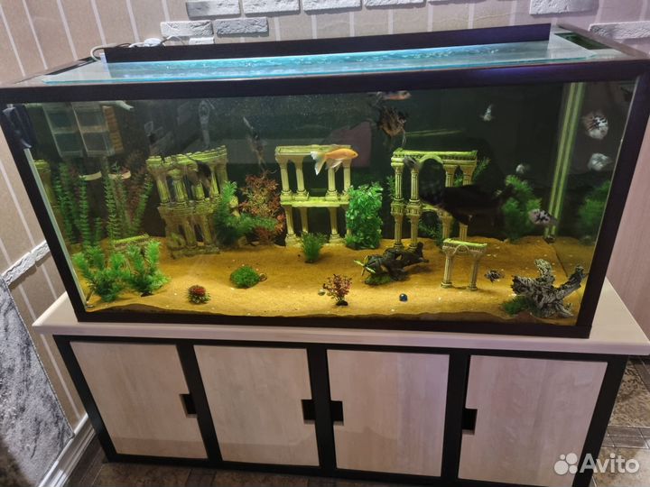 Аквариум с тумбой 630 литров
