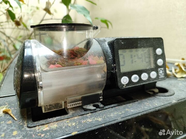 Аквариум. Аквариумный комплект