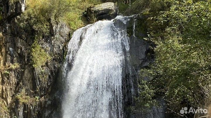 Путевка Алтай летний экспедиции от 5 до 9 дней